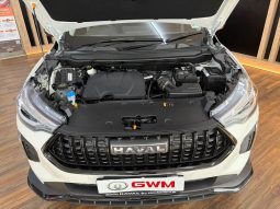 
										Haval Jolion Pro 1.5T Ultra Luxury Dct full									