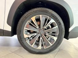 
										Jetour Dashing 1.5T Core full									