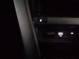 
										KIA Seltos SELTOS 1.5D EX A/T full									