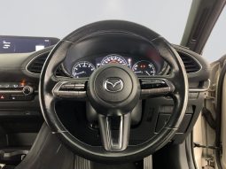 
										Mazda Mazda3 Hatch 1.5 Dynamic At full									