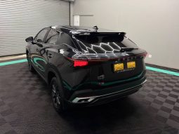 
										OMODA C5 1.5T Style full									