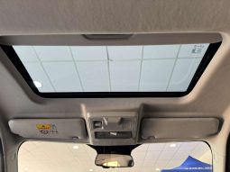 
										Tata Punch 1.2 Accomplished Plus Amt full									