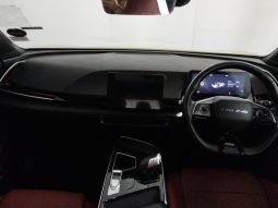 
										BAIC X55 1.5T Premium At full									