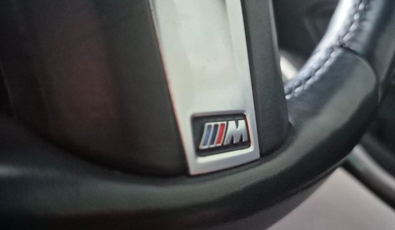 
								BMW 3 SERIES (G20) 320i M SPORT A/T (G20) full									