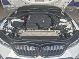 
										BMW 3 SERIES (G20) 320i M SPORT A/T (G20) full									