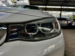 
										BMW 3 Series Gran Turismo 320d M Sport Steptronic full									