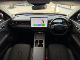 
										Chery Q Elite full									