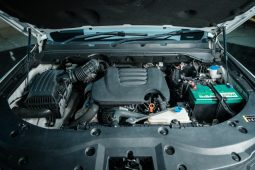 
										Gwm P Series 2.0 Ls D/cab 4X2 full									