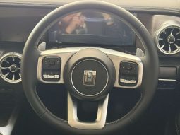 
										GWM TANK 300 TANK 300 2.4TD LUXURY A/T full									