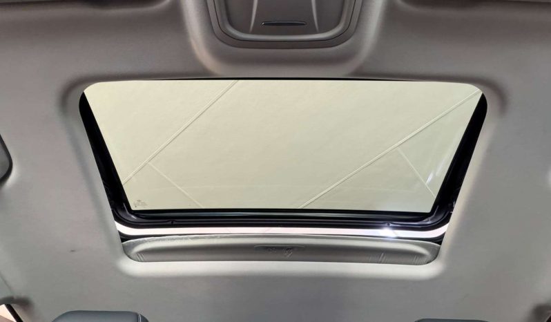 
								GWM TANK 300 TANK 300 2.4TD LUXURY A/T full									
