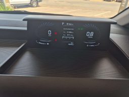 
										Hyundai H-1/STARIA STARIA 2.2D EXECUTIVE A/T full									