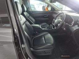 
										Hyundai Tucson TUCSON 2.0 EXECUTIVE A/T full									