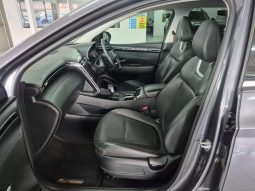 
										Hyundai Tucson TUCSON 2.0 EXECUTIVE A/T full									