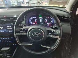 
										Hyundai Tucson TUCSON 2.0 EXECUTIVE A/T full									
