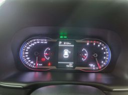 
										Hyundai Tucson TUCSON 2.0 EXECUTIVE A/T full									