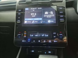 
										Hyundai Tucson TUCSON 2.0 EXECUTIVE A/T full									