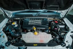 
										Mahindra Pik Up 2.2 Mhawk S11 Karoo D Cab 4X4 At full									