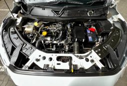 
										Nissan Magnite 1.0 T Acenta full									