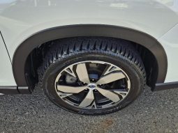 
										Subaru Forester 2.0I-S Es Cvt full									