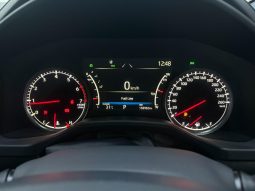 
										Toyota Land Cruiser 300 3.3D Zx full									