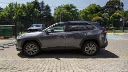 
										Toyota RAV4 2.0 GX-R AWD full									