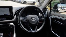 
										Toyota RAV4 2.0 GX-R AWD full									